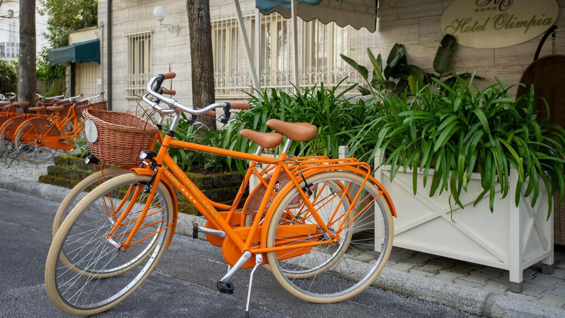 Hotel Olimpia Forte dei Marmi